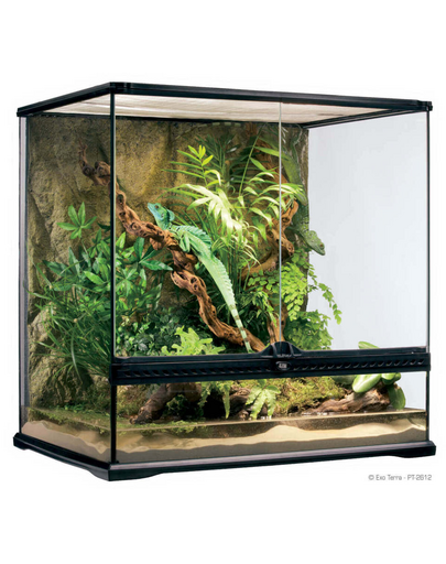 EXOTERRA Üveg terrárium MEDIUM 60x45x50cm