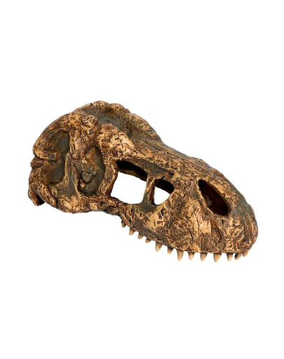EXOTERRA Rejtekhely egy tyrannosaurus koponyája, kicsi
