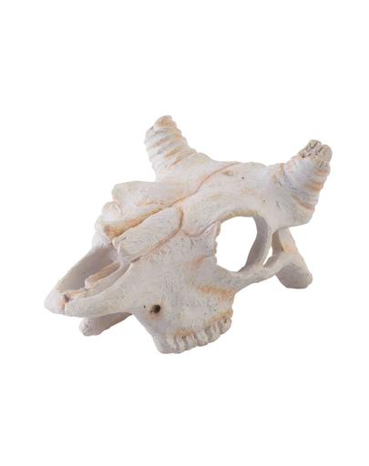 EXOTERRA Rejtekhely bivaly koponyája, kicsi