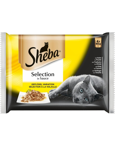 SHEBA Cuisine Dla Kota Z Wieprzowiną 4x85 g