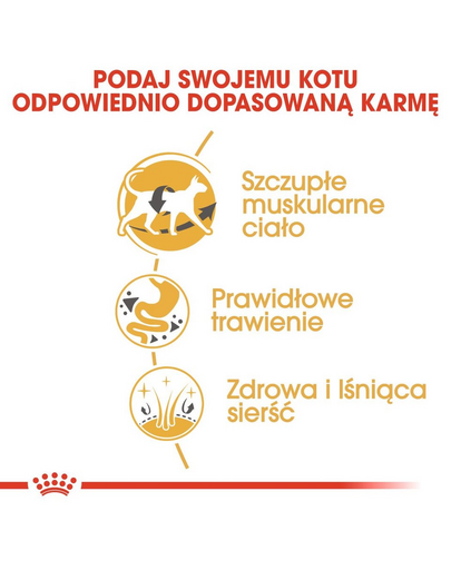 ROYAL CANIN SIAMESE ADULT - Sziámi felnőtt macska száraz táp 4 kg
