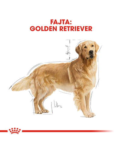 ROYAL CANIN GOLDEN RETRIEVER ADULT - Golden Retriever felnőtt kutya száraz táp 12 kg