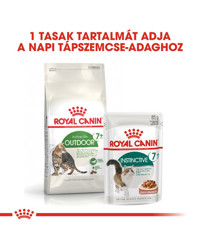 ROYAL CANIN OUTDOOR 7+ - szabadba gyakran kijáró, aktív idősödő macska száraztáp 10 kg
