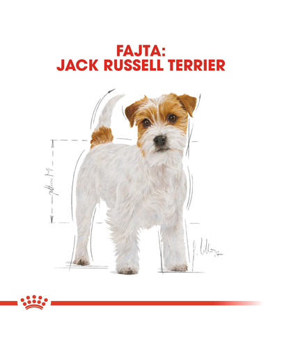 ROYAL CANIN JACK RUSSELL TERRIER ADULT - Jack Russell Terrier felnőtt kutya száraz táp 7,5 kg