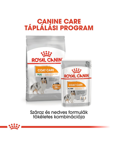 ROYAL CANIN MINI COAT CARE - száraz táp kistestű felnőtt kutyák részére a szebb szőrzetért és az egészséges bőrért 8kg