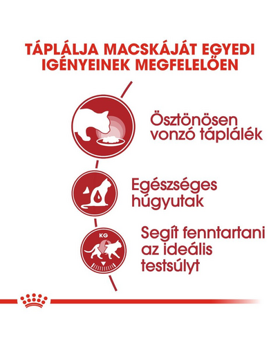 ROYAL CANIN INSTINCTIVE LOAF - felnőtt macska pépes nedves táp 85g