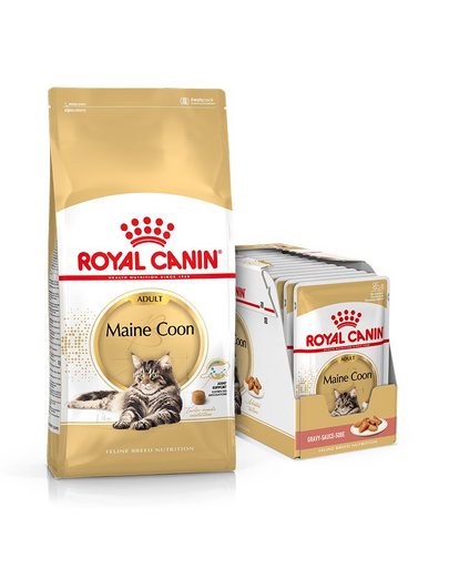ROYAL CANIN Maine Coon Adult 10 kg + mokra karma Mainecoon 12x85 g dla kotów rasy maine coon