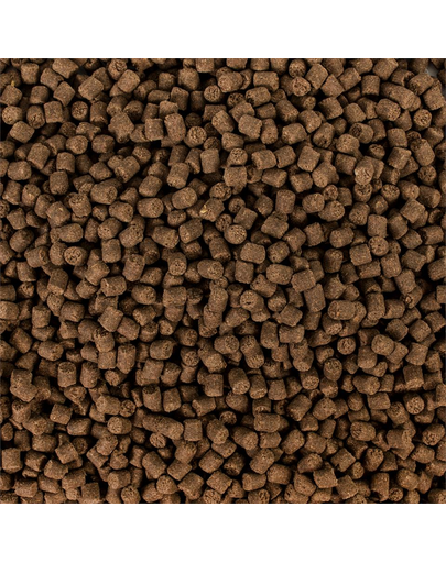 TROPICAL Sterlet basic M 3 l (1,5kg)