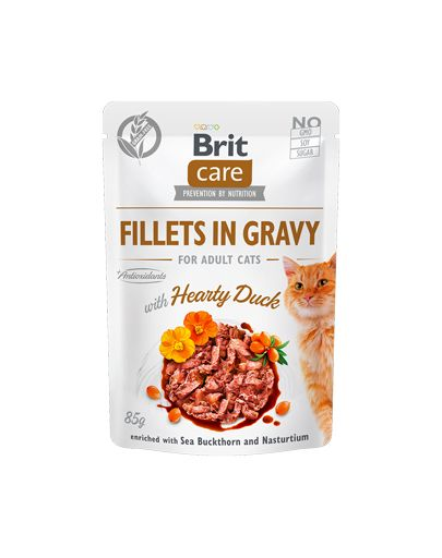 BRIT Care Cat Fillets in gravy KACSA 85 g