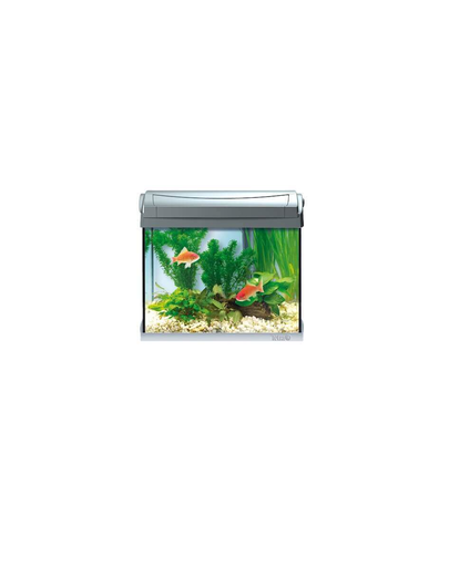 TETRA AquaArt LED Aquarium Goldfish 20 l