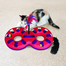 KONG Cat Active Eight Track játék