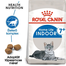 ROYAL CANIN INDOOR 7+ - lakásban tartott idősödő macska száraz táp 10 kg (25 x 0,4 kg)