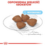 ROYAL CANIN Mini Starter Mother& Babydog 4 kg