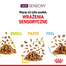 ROYAL CANIN Sensory Smell, Taste, Feel darabok szószban macskáknak 12 x 85 g érzékszervi stimuláció