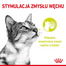 ROYAL CANIN Sensory Smell, Taste, Feel darabok szószban macskáknak 12 x 85 g érzékszervi stimuláció