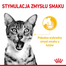 ROYAL CANIN Sensory Smell, Taste, Feel darabok szószban macskáknak 12 x 85 g érzékszervi stimuláció
