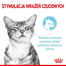 ROYAL CANIN Sensory Smell, Taste, Feel darabok szószban macskáknak 12 x 85 g érzékszervi stimuláció