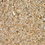 TRIXIE Vermiculit természetes aljzat keltetéshez 5 l