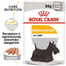 ROYAL CANIN Dermacomfort Nedvestáp érzékeny bőrű, irritációra hajlamos felnőtt kutyák számára 24 x 85 g