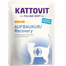 KATTOVIT Feline Diet Recovery Chicken csirke 85 g