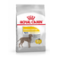 ROYAL CANIN Maxi dermacomfort 12 kg