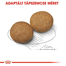 ROYAL CANIN Medium adult 10 kg