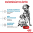 ROYAL CANIN MEDIUM STARTER MOTHER & BABYDOG - közepes testű kölyök vemhes kutya száraz táp 1 kg