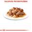 ROYAL CANIN Mini ageing 12+ 85 g