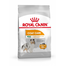 ROYAL CANIN MINI COAT CARE - száraz táp kistestű felnőtt kutyák részére a szebb szőrzetért és az egészséges bőrért 3kg