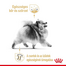 ROYAL CANIN POMERANIAN ADULT 85g Miniatűr spitz felnőtt kutya nedves táp