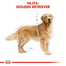 ROYAL CANIN GOLDEN RETRIEVER ADULT 24 kg (2 x 12 kg) Golden Retriever felnőtt kutya száraz táp