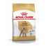 ROYAL CANIN POODLE ADULT - Uszkár felnőtt kutya száraz táp 3 kg