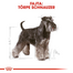 ROYAL CANIN MINIATURE SCHNAUZER ADULT - Törpe schnauzer felnőtt kutya száraz táp 3 kg