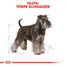ROYAL CANIN MINIATURE SCHNAUZER ADULT - Törpe schnauzer felnőtt kutya száraz táp 0,5 kg