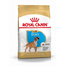 ROYAL CANIN BOXER PUPPY - Boxer kölyök kutya száraz táp 12 kg
