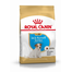 ROYAL CANIN JACK RUSSELL TERRIER PUPPY - Jack RusselL Terrier kölyök kutya száraz táp 0,5 kg