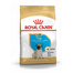 ROYAL CANIN PUG JUNIOR - Mopsz kölyök kutya száraz táp 1,5 kg