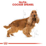 ROYAL CANIN COCKER ADULT - Cocker Spániel felnőtt kutya száraz táp 24 kg (2 x 12 kg)