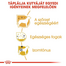 ROYAL CANIN POODLE ADULT - Uszkár felnőtt kutya száraz táp 0,5 kg