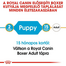 ROYAL CANIN BOXER PUPPY - Boxer kölyök kutya száraz táp 3 kg