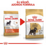 ROYAL CANIN MINIATURE SCHNAUZER ADULT - Törpe schnauzer felnőtt kutya száraz táp 0,5 kg