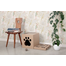 CARTON+ PETS Tobby interaktív játék