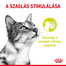 ROYAL CANIN SENSORY SMELL GRAVY 85g - nedves eledel szószban felnőtt macskáknak a szaglás serkentése érdekében