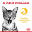 ROYAL CANIN SENSORY TASTE GRAVY 85g - nedves eledel felnőtt macskáknak mártásban, fokozott ízérzettel