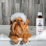 PETS Shampoo Aloe Vera korpásodás elleni sampon 250 ml