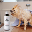 PETS Shampoo Vitamin sampon rövid hajra 250 ml