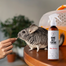 PETS Home Mist Perfume Sea Breeze 250 ml szagsemlegesítő köd belső terekbe