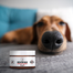 PETS Nose & Paw Balm orr- és mancsápoló balzsam 75 ml