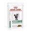 ROYAL CANIN Cat Diabetic Slices in Gravy 48x85 g