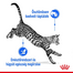 ROYAL CANIN Indoor Sterilised Gravy - idősödő macska szószos nedves táp 12 x 85 g
